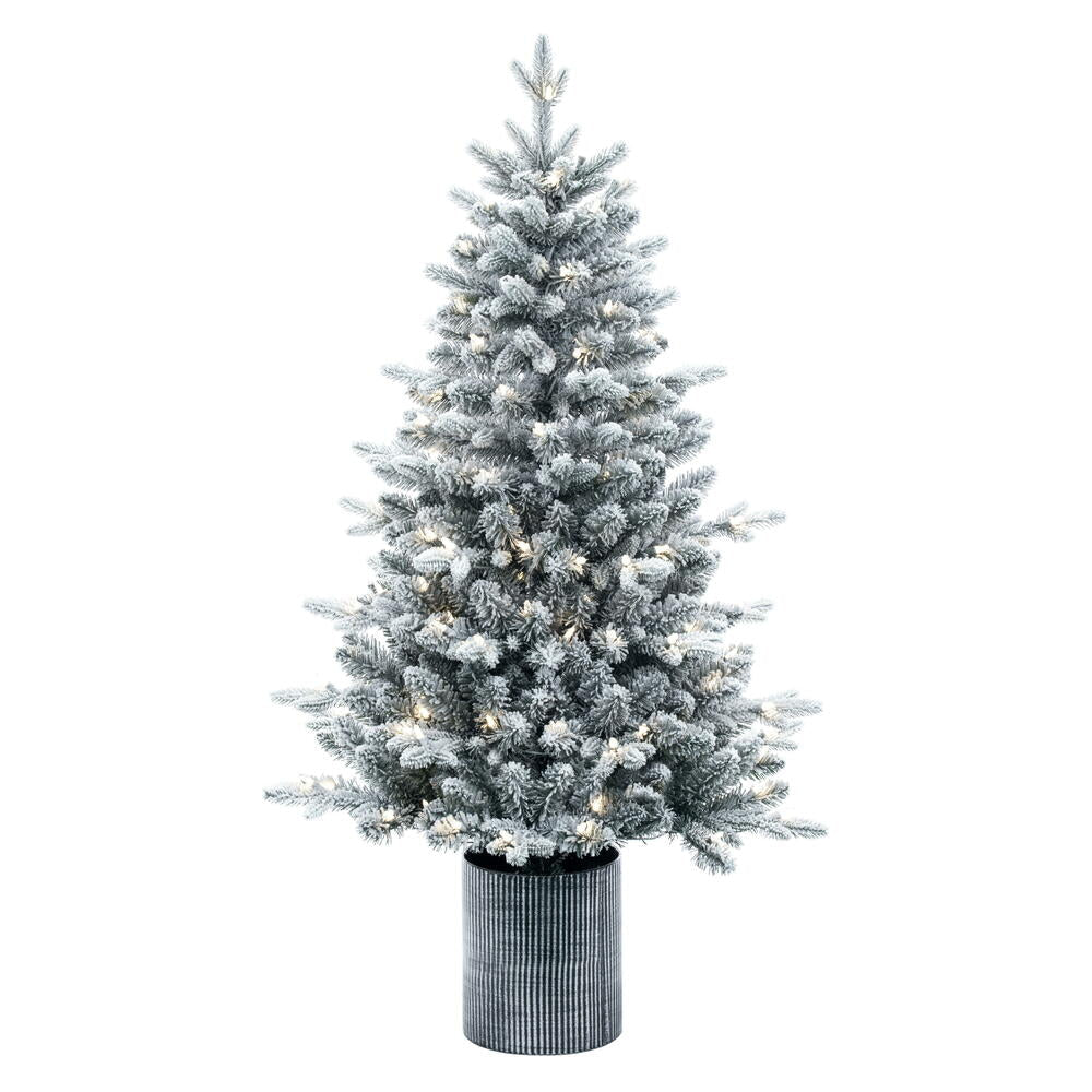 Frosted Spruce Tree in decorative pot - Accent Tree (4.5' and 6')