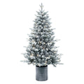 Frosted Spruce Tree in decorative pot - Accent Tree (4.5' and 6')