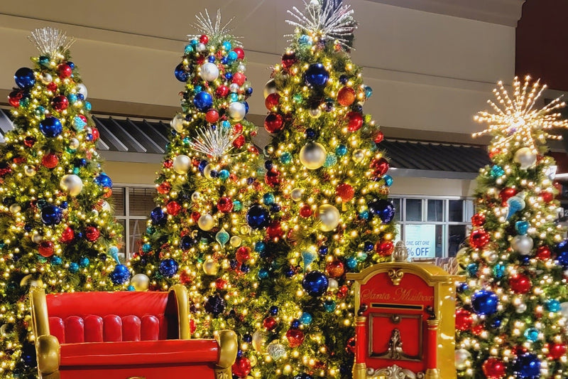 Indoor/Outdoor Christmas Trees