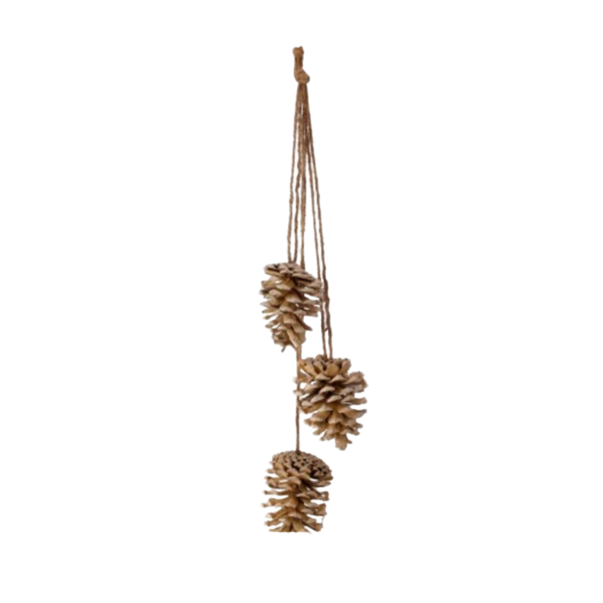 18" Triple Painted Pinecone Drop with Jute