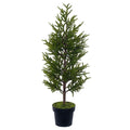 Potted Green Norfolk Pine Tree