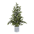 Potted Natural Touch Norway Spruce Tree (48" and 60")